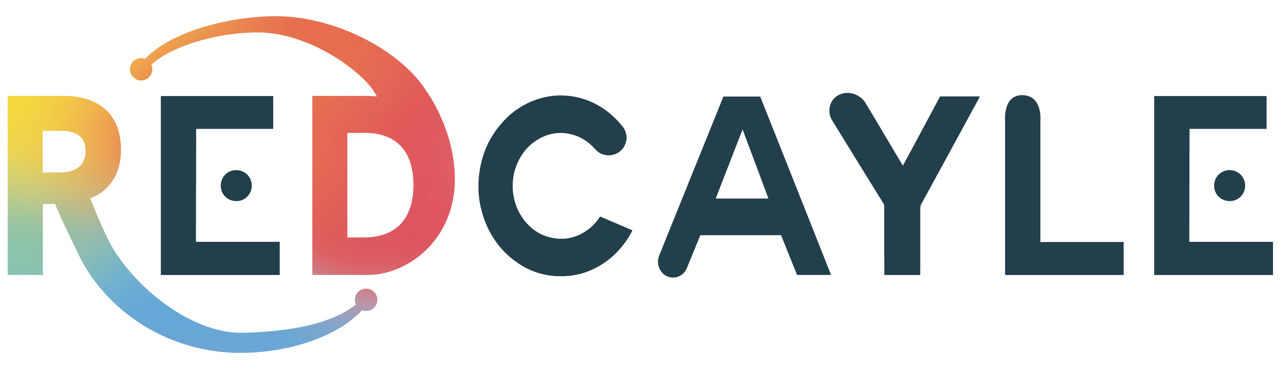 Entity Logo